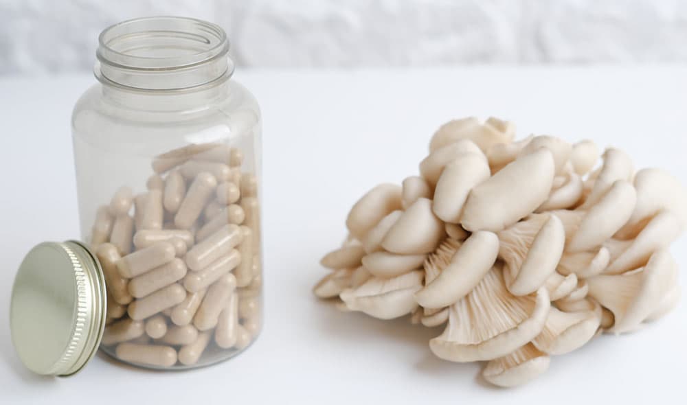 Neu bei naturmed: Vitalpilze 